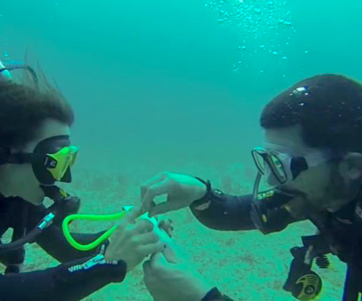 MARRY-ME-UNDERWATER-in-sharm-el-sheikh MARRY-ME-UNDERWATER-in-sharm-el-sheikh